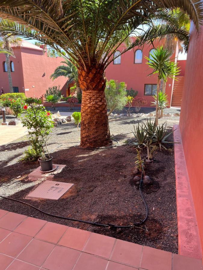 Appartement Casa Mimi Oasis Tamarindo à Corralejo Extérieur photo